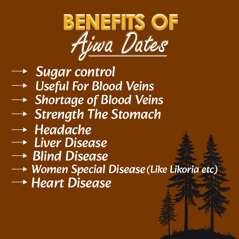 Premium Ajwa Khajur Seeds Powder – 100% Natural | Powerful Health Booster