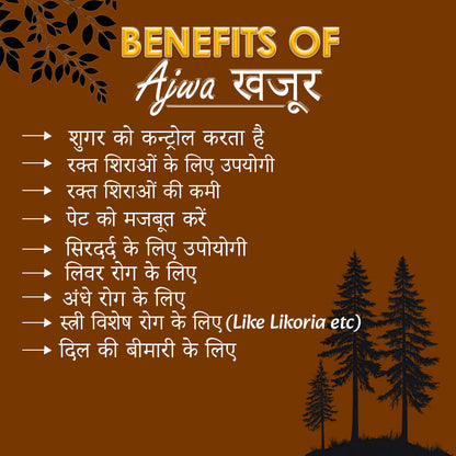 Premium Ajwa Khajur Seeds Powder – 100% Natural | Powerful Health Booster