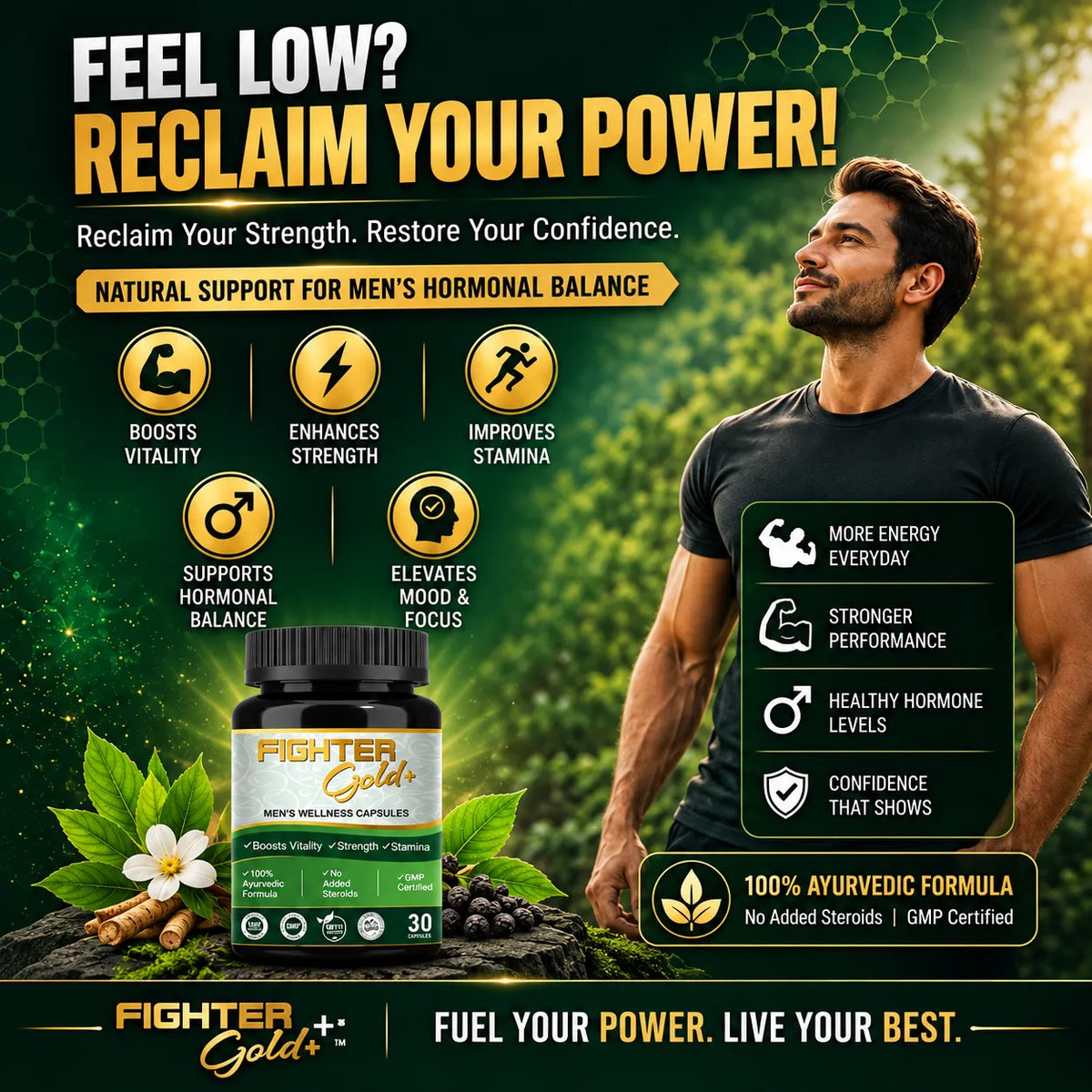 Fighter Gold+ Capsules – Natural Testosterone Booster for Men | Boost Energy, Strength & Stamina