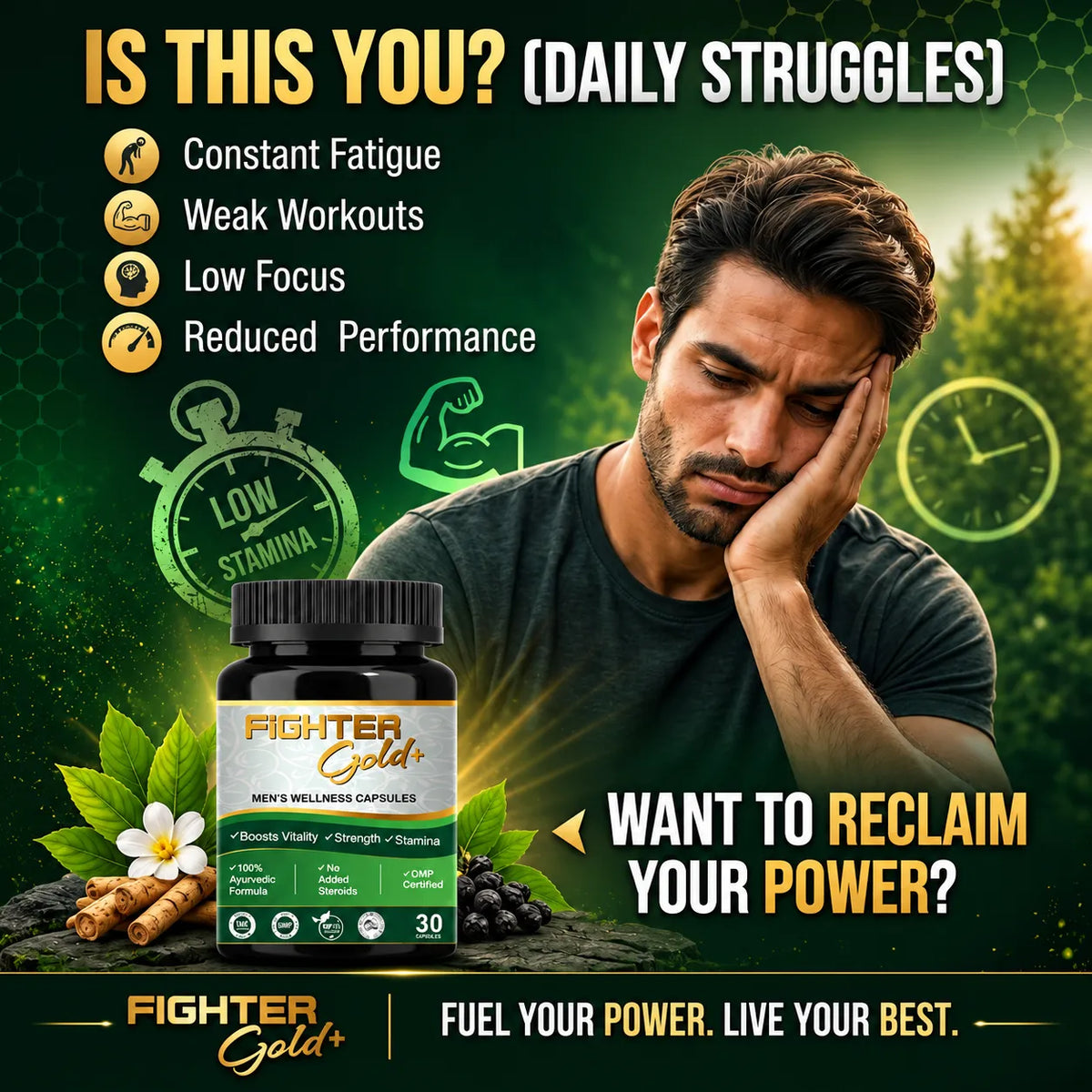 Fighter Gold+ Capsules – Natural Testosterone Booster for Men | Boost Energy, Strength & Stamina