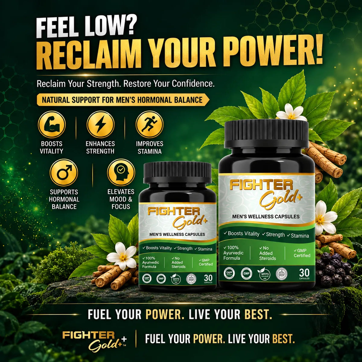 Fighter Gold+ Capsules – Natural Testosterone Booster for Men | Boost Energy, Strength & Stamina