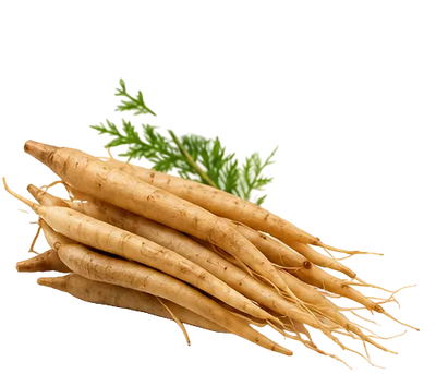 Brown root vegetables with green leaves on a white background